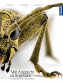 Von Angesicht zu Angesicht (eBook, PDF)