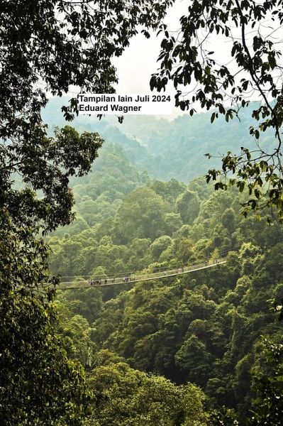 Tampilan lainnya Juli 2024 (eBook, ePUB)