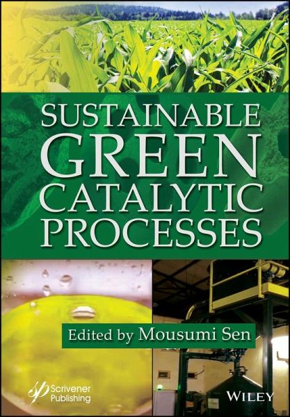 Sustainable Green Catalytic Processes (eBook, PDF)