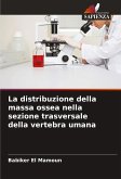 La distribuzione della massa ossea nella sezione trasversale della vertebra umana La distribuzione della massa ossea nella sezione trasversale della vertebra umana
