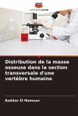 Distribution de la masse osseuse dans la section transversale d'une vertèbre humaine