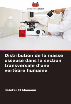 Distribution de la masse osseuse dans la section transversale d'une vertèbre humaine - El Mamoun, Babiker