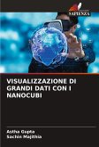 VISUALIZZAZIONE DI GRANDI DATI CON I NANOCUBI VISUALIZZAZIONE DI GRANDI DATI CON I NANOCUBI