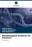 Morphongene Proteine für Knochen