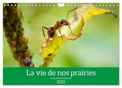 La vie de nos prairies - Le monde des fourmis (Calendrier mural 2025 DIN A4 vertical), CALVENDO calendrier mensuel