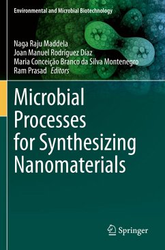 Cover Microbial Processes for Synthesizing Nanomaterials