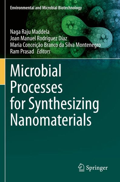 Microbial Processes for Synthesizing Nanomaterials