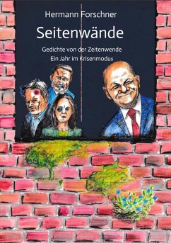 Cover Seitenwände (eBook, ePUB)