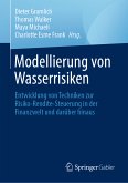 Modellierung von Wasserrisiken (eBook, PDF)