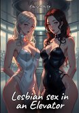 Lesbian sex in an Elevator (eBook, ePUB)