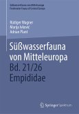 Süßwasserfauna von Mitteleuropa, Bd. 21/26 Empididae (eBook, PDF)