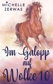 Im Galopp auf Wolke 10