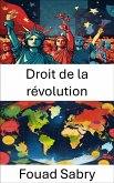 Droit de la révolution (eBook, ePUB)