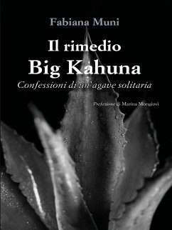 Cover Il rimedio Big Kahuna (eBook, ePUB)