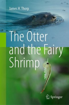 Cover The Otter and the Fairy Shrimp (eBook, PDF)