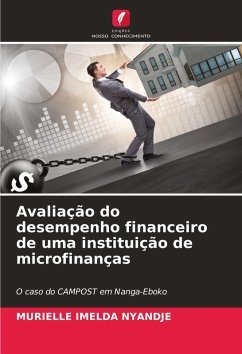 Avaliação do desempenho financeiro de uma instituição de microfinanças - NYANDJE, MURIELLE IMELDA