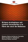 Brique écologique sol-ciment incorporée à la fibre de coco de Babassu