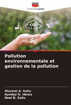 Cover Pollution environnementale et gestion de la pollution