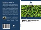 Analyse der Pilzwelke bei Taubenerbse