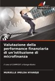 Valutazione della performance finanziaria di un'istituzione di microfinanza