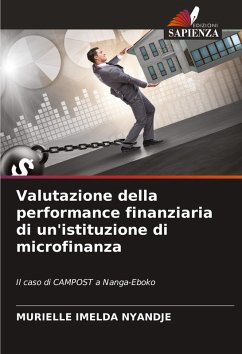 Valutazione della performance finanziaria di un'istituzione di microfinanza - NYANDJE, MURIELLE IMELDA