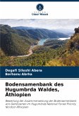 Bodensamenbank des Hugumbrda Waldes, Äthiopien Bodensamenbank des Hugumbrda Waldes, Äthiopien