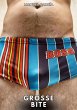 Grosse Bite (eBook, ePUB) - Bild 1