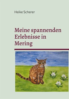 Meine spannenden Erlebnisse in Mering (eBook, ePUB) - Scherer, Heike