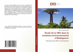 Étude de la VBG dans le contexte environnemental à Madagascar - BEBE, Ralisoa Ordelheide