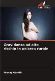 Gravidanza ad alto rischio in un'area rurale Gravidanza ad alto rischio in un'area rurale