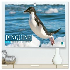 Pinguine: Gehupft wie gesprungen (hochwertiger Premium Wandkalender 2025 DIN A2 quer), Kunstdruck in Hochglanz Pinguine: Gehupft wie gesprungen (hochwertiger Premium Wandkalender 2025 DIN A2 quer), Kunstdruck in Hochglanz