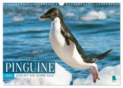 Pinguine: Gehupft wie gesprungen (Wandkalender 2025 DIN A3 quer), CALVENDO Monatskalender