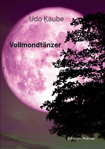 Vollmondtänzer (eBook, PDF)