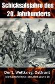 Schicksalsjahre des 20. Jahrhunderts (eBook, ePUB)