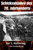 Schicksalsjahre des 20. Jahrhunderts (eBook, ePUB)