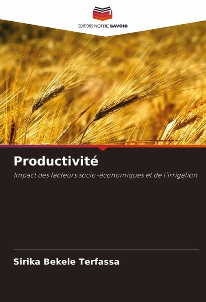 Productivité