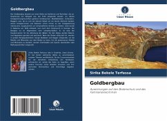 Cover Goldbergbau