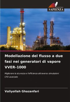 Cover Modellazione del flusso a due fasi nei generatori di vapore VVER-1000
