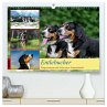 Entlebucher - Temperamentvolle... - Bild 1