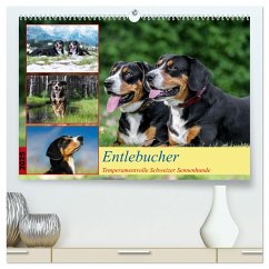 Entlebucher - Temperamentvolle Schweizer Sennenhunde (hochwertiger Premium Wandkalender 2025 DIN A2 quer), Kunstdruck in Hochglanz Entlebucher - Temperamentvolle Schweizer Sennenhunde (hochwertiger Premium Wandkalender 2025 DIN A2 quer), Kunstdruck in Hochglanz