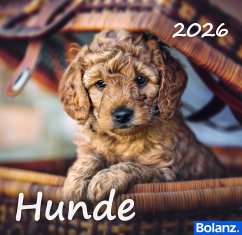 Cover Hunde 2026