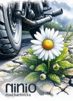 Cover Ninio (eBook, ePUB)