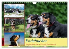 Entlebucher - Temperamentvolle Schweizer Sennenhunde (Wandkalender 2025 DIN A4 quer), CALVENDO Monatskalender