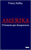 AMERIKA: O homem que desapareceu (eBook, ePUB)