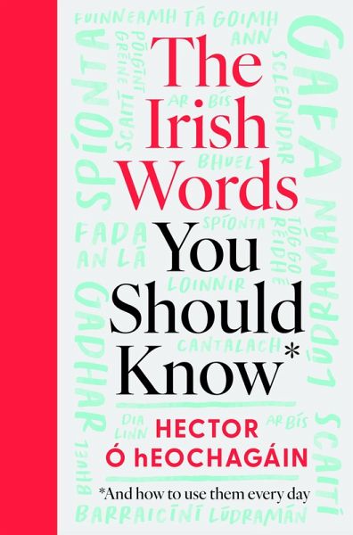 The Irish Words You Should Know (eBook, ePUB) The Irish Words You Should Know (eBook, ePUB)