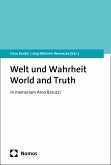 Welt und Wahrheit (eBook, PDF)