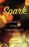 Spark Spark