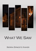 What We Saw What We Saw