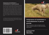 Integrazione di butafosfano e cianocobalamina in pecore gravide