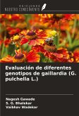 Evaluación de diferentes genotipos de gaillardia (G. pulchella L.)